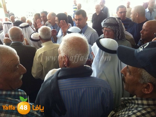 tashye3 04007 (7).jpg